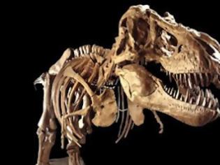 Φωτογραφία για Νέο είδος δεινοσαύρου ανακαλύφθηκε στη Γαλλία