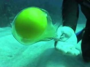 Φωτογραφία για Τι συμβαίνει όταν σπάσουμε ένα αβγό σε βάθος 20 μέτρων; [video]