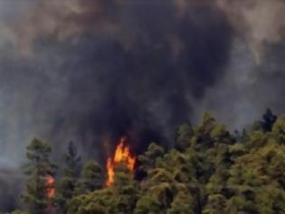 Φωτογραφία για Εμπρησμός πίσω από τη φωτιά στις Αφίδνες;