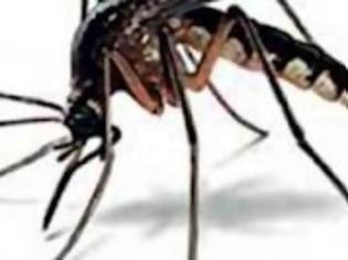 Φωτογραφία για Κλιμάκιο του ΚΕΕΛΠΝΟ στην Ξάνθη. Ενημέρωση και προφύλαξη για το Δυτικό Νείλο