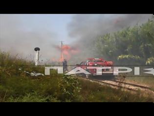 Φωτογραφία για Ηλεία: Μεγάλη φωτιά έκανε στάχτη καταυλισμό τσιγγάνων [BINTEO]