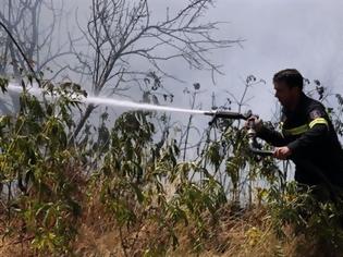 Φωτογραφία για Υπό έλεγχο η πυρκαγιά στην Αρκίτσα Φθιώτιδας