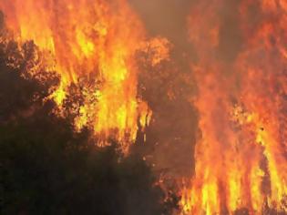 Φωτογραφία για Πυρκαγιά στην περιοχή Καλυβάκια Ηλείας