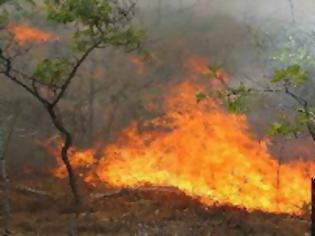 Φωτογραφία για Υπό πλήρη έλεγχο η πυρκαγιά στην περιοχή των Μακρισίων