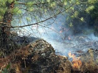 Φωτογραφία για Υπό μερικό έλεγχο η φωτιά στη Μεσσηνία