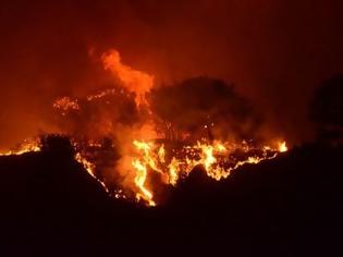 Φωτογραφία για Ο απολογισμός της Πυροσβεστικής: Συνελήφθησαν πάνω από 80 εμπρηστές