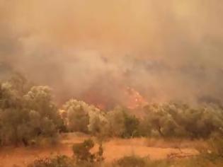 Φωτογραφία για Ο εμπρηστής είναι γιος πυροσβέστη