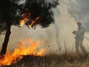 Φωτογραφία για Σε εξέλιξη φωτιές στη Δυτική Μακεδονία