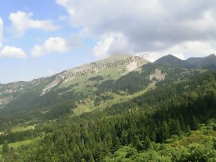 Φωτογραφία για Λίγη όαση δροσιάς απ΄τα ορεινά βουνά του Ασπροπόταμου Τρικάλων