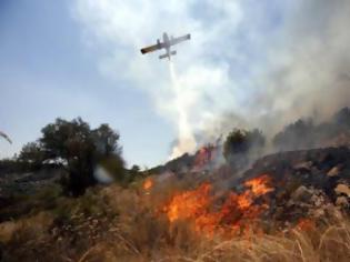 Φωτογραφία για Υπό έλεγχο η φωτιά στο Περιβόλι - Τρέχουν τώρα στην ανατολική Φθιώτιδα