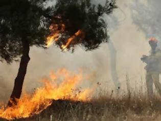 Φωτογραφία για Αχαΐα: Υπό μερικό έλεγχο η πυρκαγιά σε δάσος στα Σαγέικα