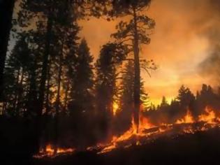 Φωτογραφία για Αυξημένη επικινδυνότητα για Δασικές Πυρκαγιές