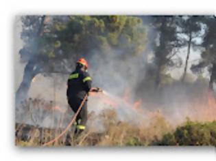 Φωτογραφία για Δεν λένε να σταματήσουν οι φωτιές