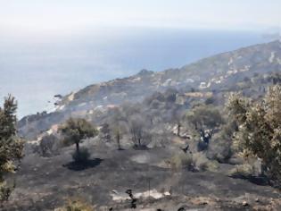 Φωτογραφία για Πετριές: Η φωτιά πλησιάζει το χωριό - Κάηκαν δύο σπίτια! [video]