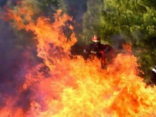 Φωτογραφία για Εμπρησμοί Χίου: Απολογείται την Τετάρτη ο 24χρονος βοσκός