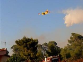 Φωτογραφία για Νέα μέτωπα στο Κορωπί και την Εύβοια