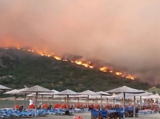 Φωτογραφία για Τη Χίο δεν την έκαψαν οι φλόγες. Tη Χίο την έκαψαν οι…