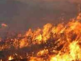 Φωτογραφία για Αλεξανδρούπολη: Πέντε στρέμματα κάηκαν από πυρκαγιά