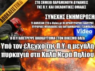 Φωτογραφία για Υπό τον έλεγχο της Π.Υ. η μεγάλη πυρκαγιά στα Καλά Νερά Πηλίου [video]