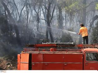 Φωτογραφία για Πυρκαγιές σε Φθιώτιδα, Μαγνησία, Φλώρινα και Κοζάνη