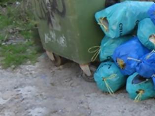 Φωτογραφία για ΔΕΙΤΕ: Θησαυροί... πεταμένοι στα σκουπίδια