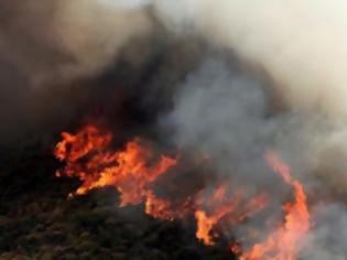 Φωτογραφία για ΕΚΤΑΚΤΟ: Φωτιά στο Νέο Βουτζά