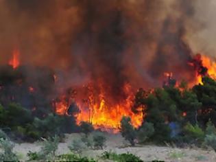 Φωτογραφία για Σε εξέλιξη πυρκαγιά στον Ομαλό Χανίων