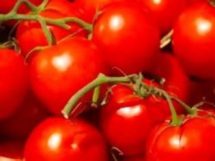 Φωτογραφία για Turquie : les tomates, la croissance ou l’indépendance