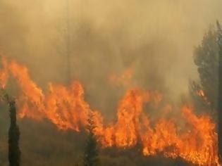 Φωτογραφία για Πυρκαγιά στο Θέρισσο Χανίων