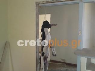 Φωτογραφία για ΣΟΚ: Κρέμασαν σκύλο στη Βάση Γουρνών!