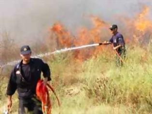 Φωτογραφία για Τα πύρινα μέτωπα στη Κρήτη