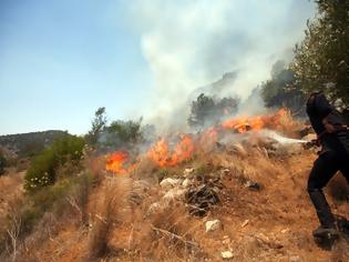 Φωτογραφία για Πυρκαγιά στο Νέο Βουτζά Αττικής και στην Κρήτη