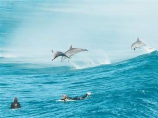 Φωτογραφία για Σέρφινγκ συντροφιά με τα δελφίνια