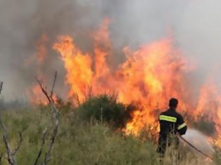 Φωτογραφία για Πάτρα: Φωτιά στα Συχαινά -  Επί τόπου σπεύδουν πυροσβεστικές δυνάμεις