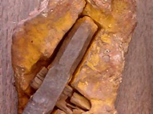 Φωτογραφία για Σφυρί μέσα σε βράχο 75 εκατομμυρίων ετών.