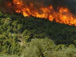 Φωτογραφία για Ισπανία: Ηλικιωμένος κάηκε ζωντανός στην πύρινη λαίλαπα