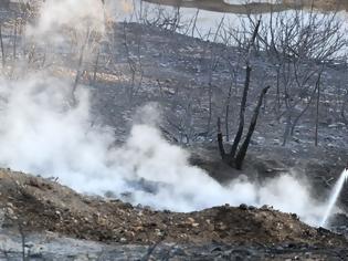 Φωτογραφία για Σε ύφεση η φωτιά στο δάσος του Σέιχ Σου