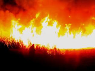 Φωτογραφία για Αύγουστος - απολογισμός πυρκαγιών:  Ο πιο καταστροφικός, μετά το 2007, Αύγουστος από το 2000