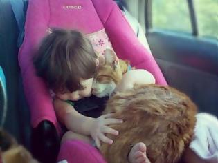 Φωτογραφία για Γάτες και μωρά: 25 απίθανες φωτογραφίες!