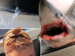 Φωτογραφία για ΔΕΙΤΕ: Σκηνές τρόμου έζησε 53χρονος ψαρας