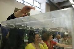 140.000 φίλοι του ΠΑ.ΣΟ.Κ . είχαν ψηφίσει εως τις 4 το μεσημέρι!