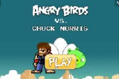 VIDEO: Τσακ Νόρις VS Angry birds και μαντέψτε τι έγινε...