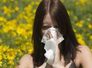 Φωτογραφία για Χαρείτε την άνοιξη χωρίς αλλεργίες