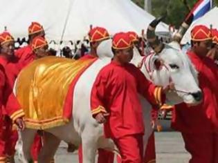 Φωτογραφία για Η «ιερή αγελάδα» του ιδιωτικού τομέα