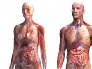 Φωτογραφία για Ποιο είναι το πιο βαρύ όργανο του ανθρωπίνου σώματος;!