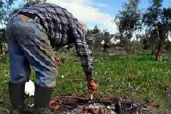 Πάρτι με αγροτικές αποζημιώσεις του ΕΛΓΑ