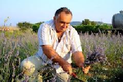 Καλλιεργητές βγάζουν αρκετά χρήματα από τέσσερα βότανα...
