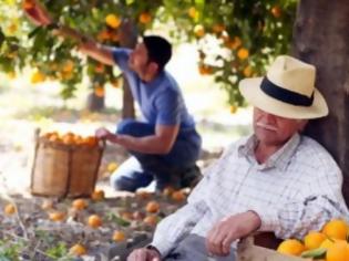 Φωτογραφία για Νευρίασε ο Θωμόπουλος, γιατί ο Δ.Ψωμιάδης μοίραζε πορτοκάλια σε έκθεση στο Βερολίνο!