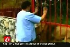 Απίστευτο video! Δείτε τι κάνει το λιοντάρι στη γυναίκα
