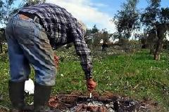 ΚΑΤΑΓΓΕΛΙΑ ΚΑΘΥΣΤΕΡΗΣΗ ΣΤΙΣ ΠΡΟΩΡΕΣ ΣΥΝΤΑΞΕΙΣ ΤΩΝ ΑΓΡΟΤΩΝ